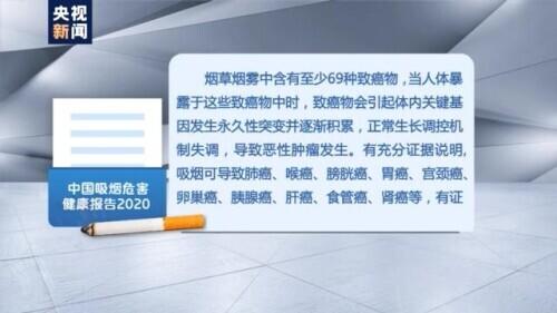 吸烟|我国烟民超3亿 烟草每年使我国100多万人失去生命