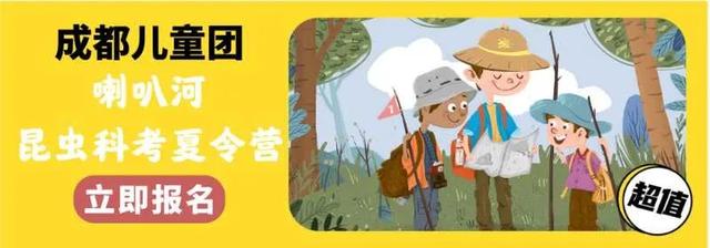 你的育儿经|2020夏令营丨造房子/探秘熊猫/昆虫科考/水中急救……最强小孩养成，一个夏天就够了