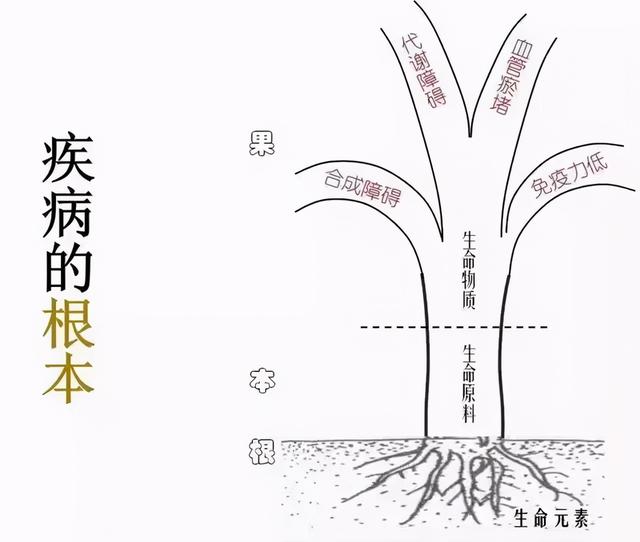 找到自愈癌症的神秘钥匙：他治愈了20多个癌症案例