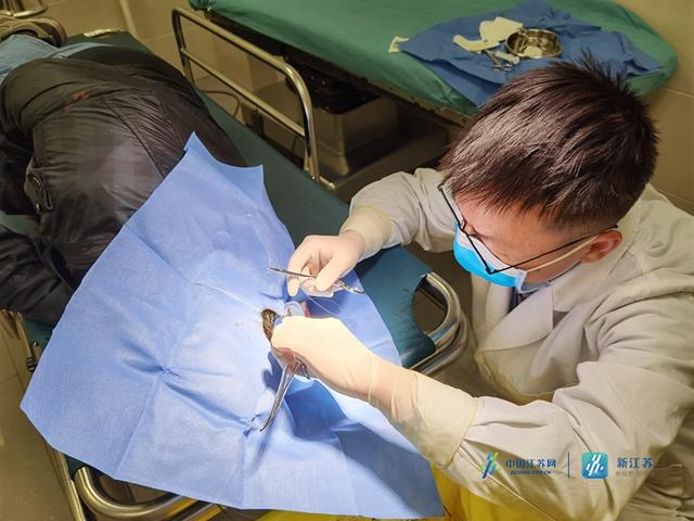 老人|八旬老人独自就医突然摔倒 江苏省人民医院医护团队火速救治化险为夷