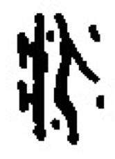 疾病|讲座丨张大庆：古人如何认识疾病？人类能征服疾病吗？