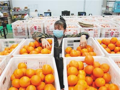 【光明网】电商物流全面复工 助力农产品销售
