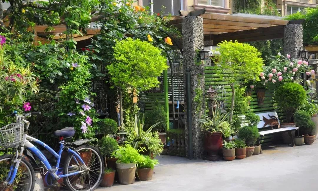 She Retreats at 40, Builds a 200㎡ Garden, Raises Flowers and Dogs, Leads a New Lifestyle for Middle-Aged Women