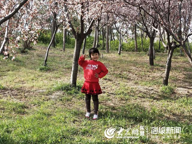 【大众网东营】陈庄镇中心幼儿园开展清明节系列活动