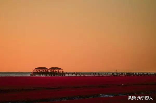 #行路万里#辽宁竟私藏了一片颜值超高的红海滩