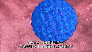 [超级宝妈]做试管婴儿怀双胞胎、龙凤胎需要满足什么条件？
