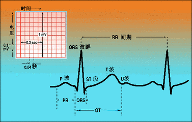心电图|心电图“窦性心律不齐”是怎么回事儿？