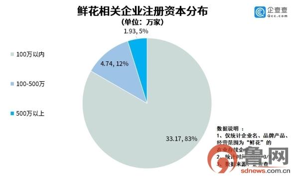 山东鲜花相关企业达3.13万家名列全国前三，青岛“领跑”全省