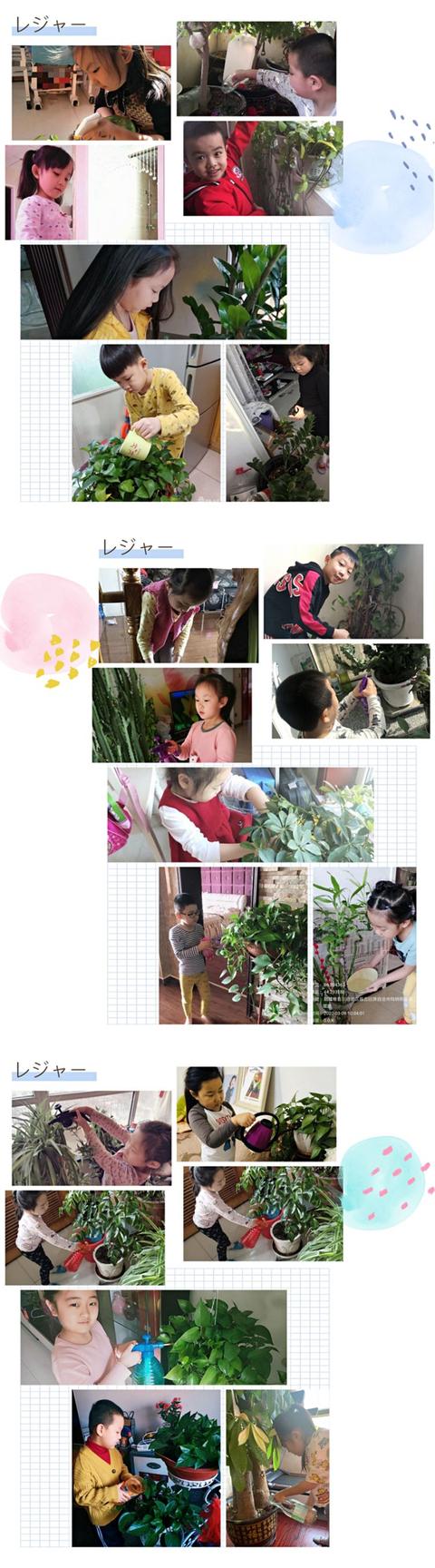 「你的育儿经」幼教老师收藏幼儿园主题活动《播种绿色意识，收获绿色希望》