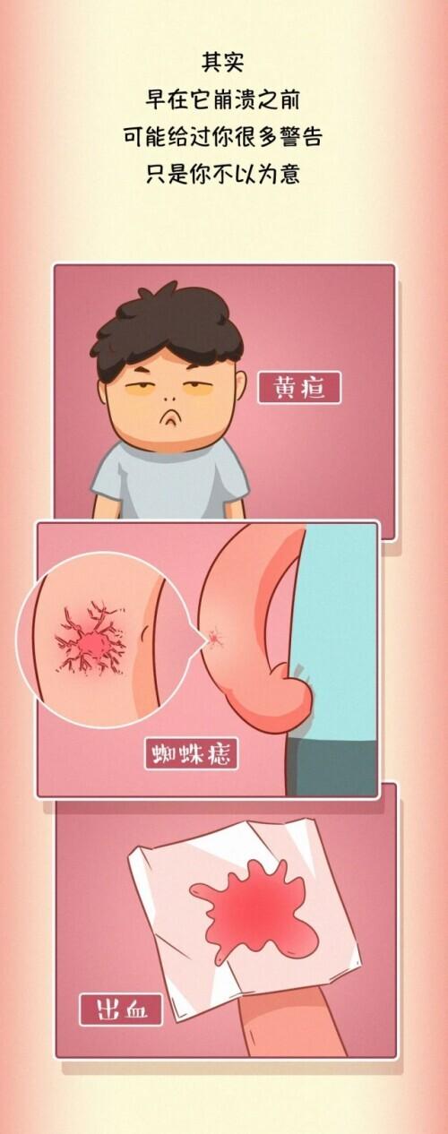肝脏|肝脏受伤全过程