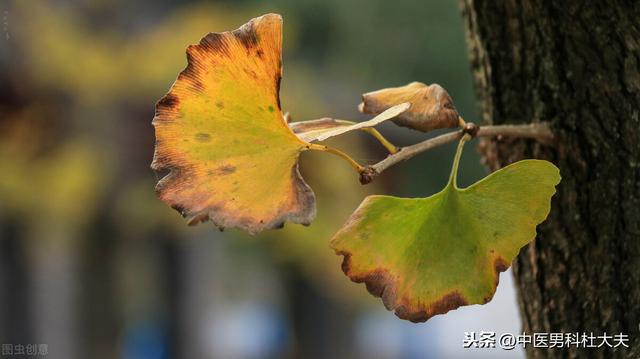 慢性前列腺炎会影响生育么？