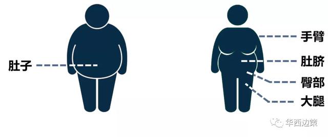 肥胖|华西妇科医生教你如何健康瘦身