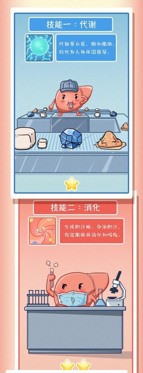 肝脏|肝脏受伤全过程