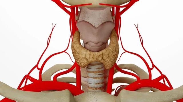每5人就有1人有甲状腺结节！出现2种症状，说明癌症找上门