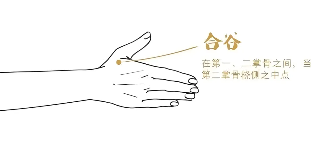 艾仲医