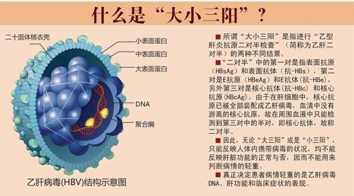 「你的育儿经」乙肝母婴阻断预防知识，孕妈们要懂的备孕常识