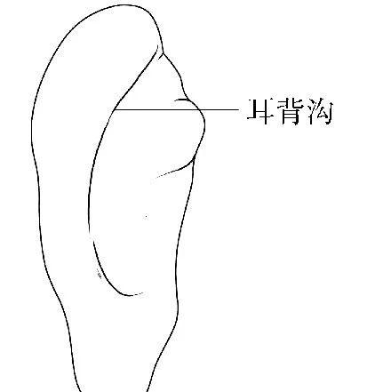 降压穴位你知道吗？这四大降压穴一定要给爸妈看