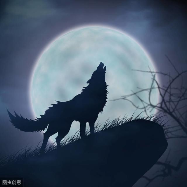 超级宝妈▲如果你的孩子是狼,是选虎还是选猪做朋友。学习环境很重要。