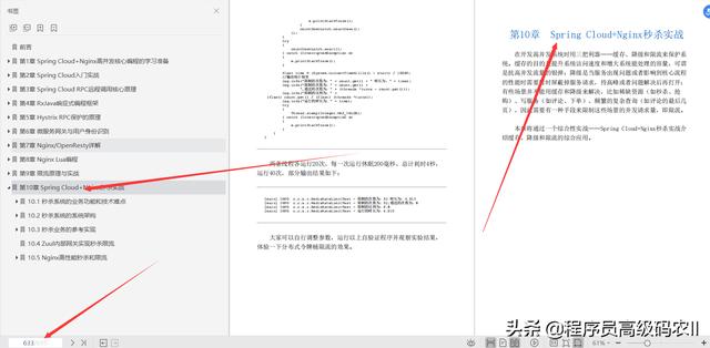 阿里专家分享的SpringCloudNginx高并发核心文档