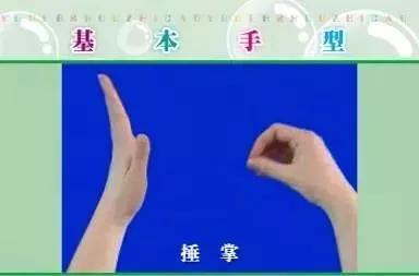 #你的育儿经#用这些童谣和孩子一起玩手指操，开发右脑，孩子越玩越聪明