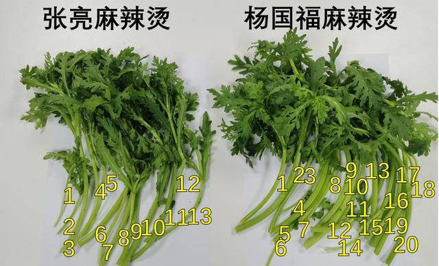 杨国福和张亮哪家麻辣烫更划算？狂点200块的我都快吃吐了