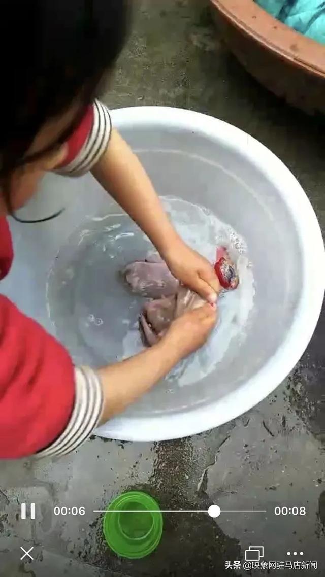 「你的育儿经」西平县第四幼儿园线上课程纪实