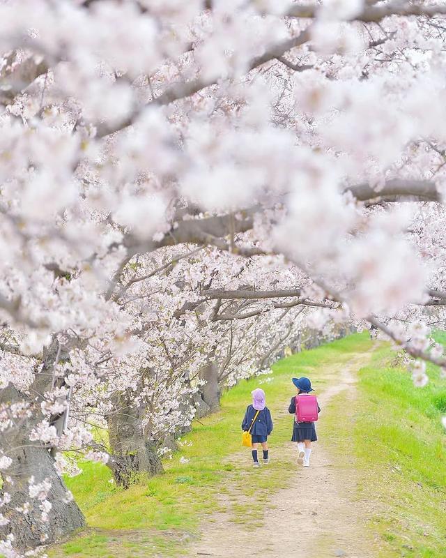 相亲相爱|暖心爸爸晒娃，却把孩子拍成宫崎骏动画，太治愈了