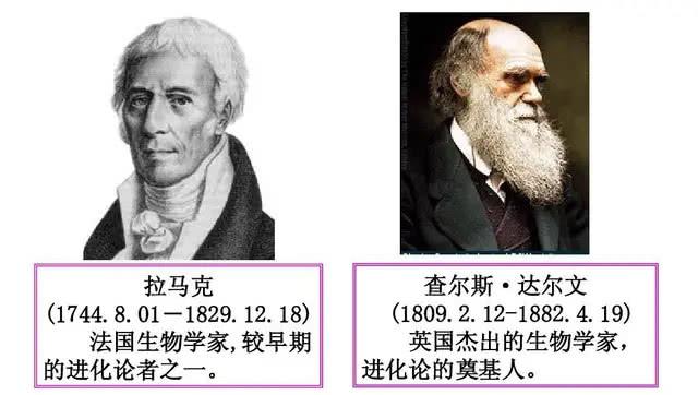 你的育儿经:别再一味责怪,孩子学习不好的一部分原因可能来自遗传