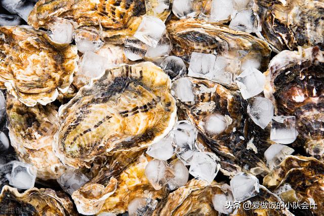 带壳生蚝怎么保存？牢记3点，安心存放味道鲜，学会了好备年货