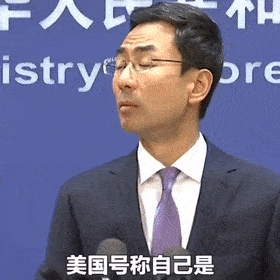 耿爽的履职简历,网友关注点全跑偏