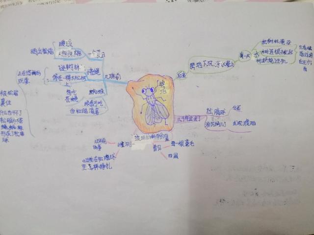 「超级宝妈」别人家孩子的思维导图