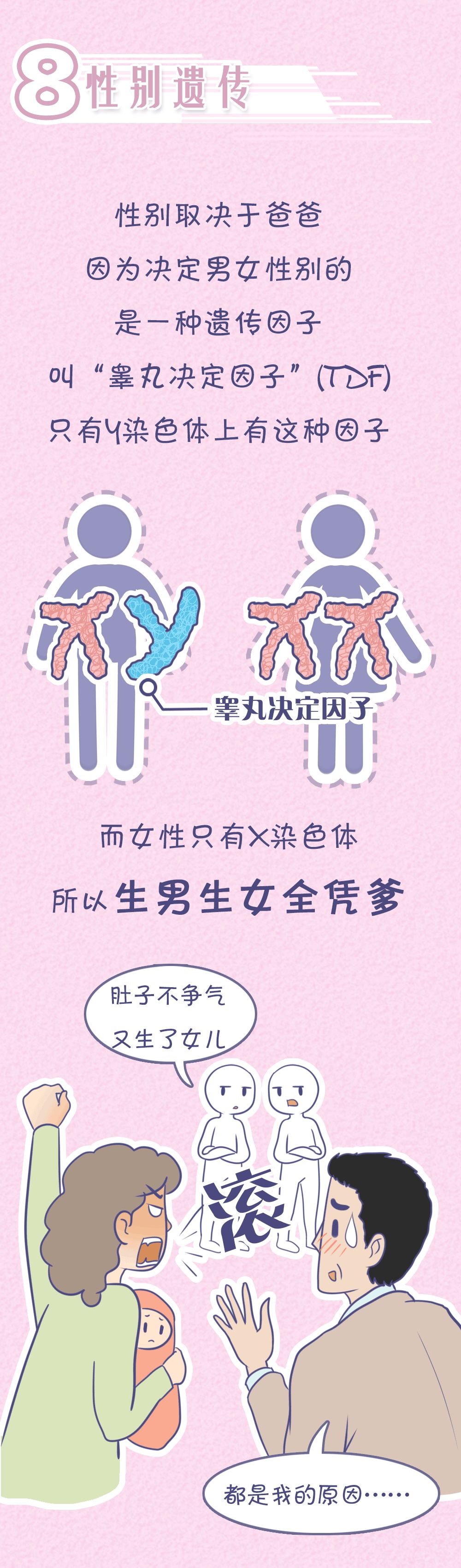 醉红颜：“女儿像爸，儿子像妈”？孩子智商究竟遗传谁？太准了……