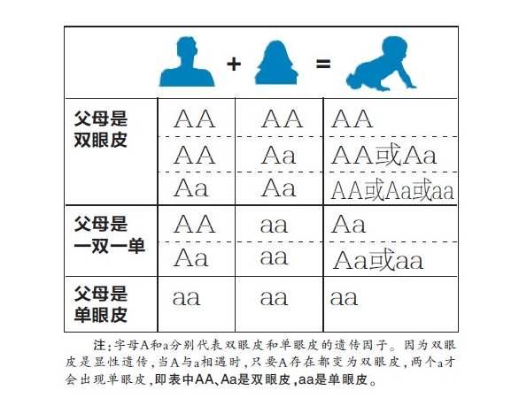 #你的育儿经#世家公子“漫画颜”走红网络,网友:这不就是那个萌“团子”吗?