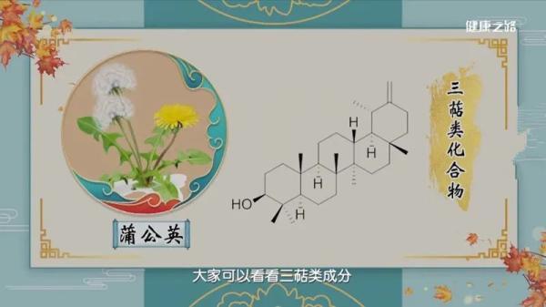 附子|是毒药也是救命药！这4种药材，您用对了吗？