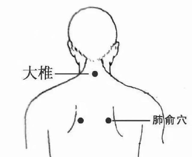 喝它补肝，揉它补肺，想要冬不病，补好五脏气~