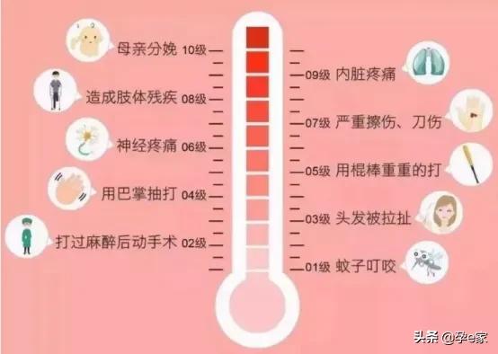 奋斗吧小青年|27岁妈妈直播分娩过程，揭秘产房「无痛」真相