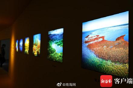 全球|走，一起到国兴大道全球贸易之窗听“海的故事”