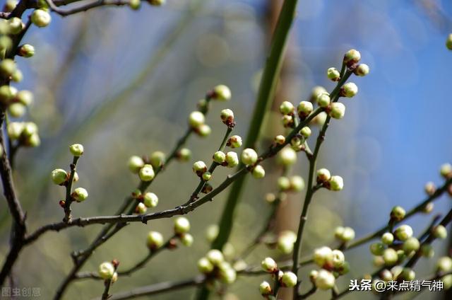 体内湿热，气机不畅！易发热性肝胆疾病。祛湿热这么刮和吃