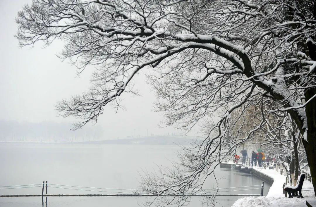 小雪|今日小雪，曼舞盼君来