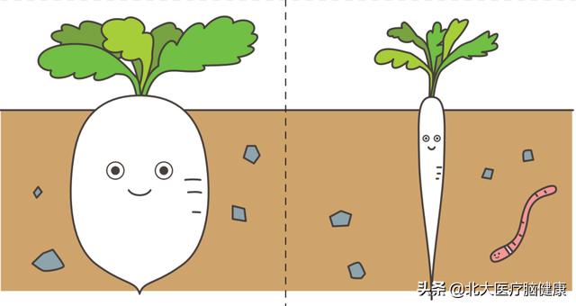花一样的青春|2岁还不会区分大小？16张图片，教会孩子说反义词