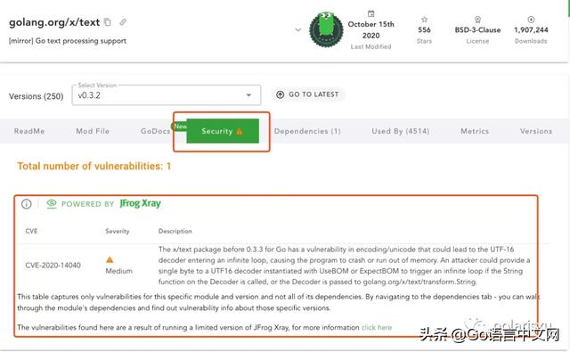 Go Module有漏洞？免费的Go漏洞扫描VSCode插件