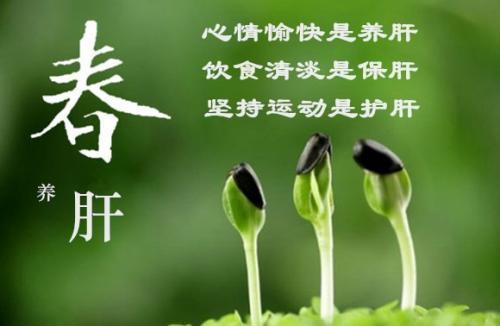 人体|春季最适合养肝 饮食上宜温补