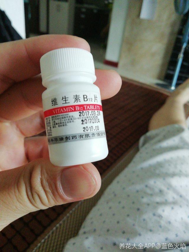 过期的小药片拿来养花，水培花里扔一片，消毒杀菌根系不烂