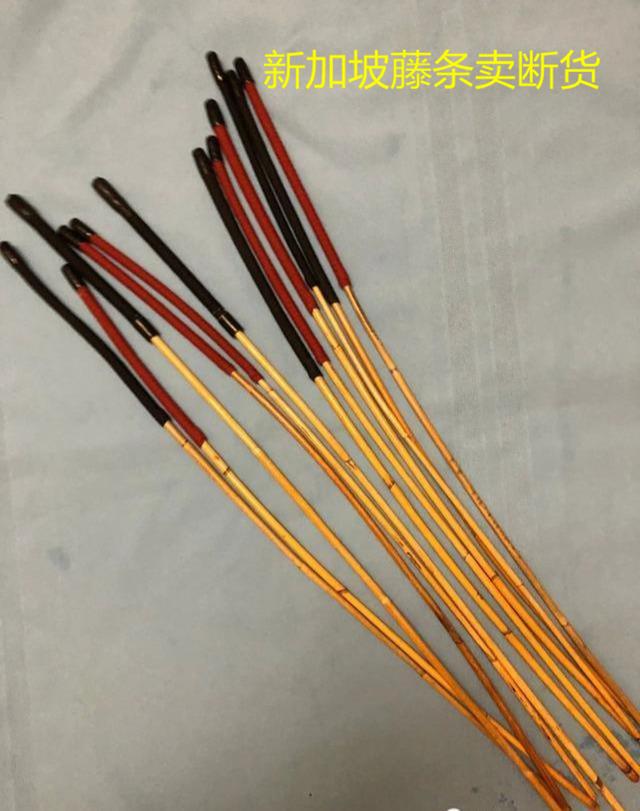【你的育儿经】什么和孩子上网课最配？新加坡家长用实际行动回答：是藤条！