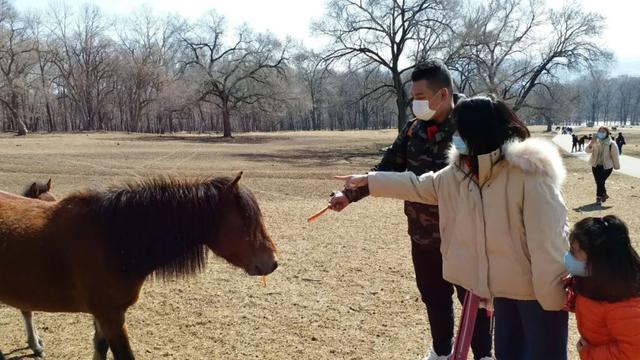 『生活报』黑龙江省旅游业逐渐复苏,?7成景区开放 !神鹿山迎来自驾旅游团