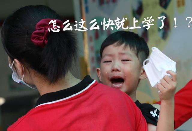 晴空蓝兮|小小小神兽回笼！张张都是表情包，画风“哈哈哈哈哈”