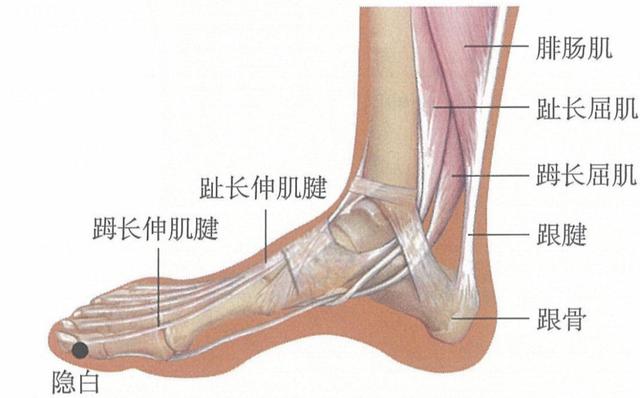 井穴养生，教你如何快速掌握重要的穴位知识