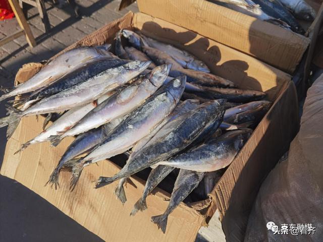 齐齐哈尔关注：“冻味”，咱克东人“家乡”的味道