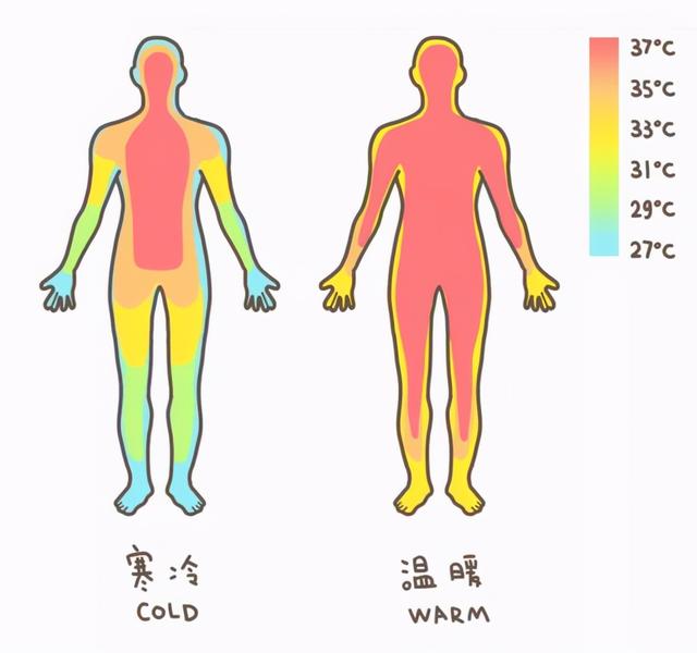 冬天脚冷，放在男朋友哪里最暖和？