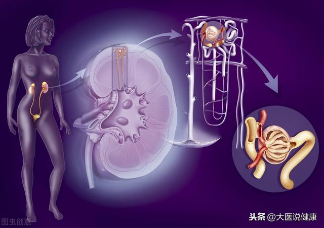 肾综4次复发，击垮少年精神，中医助他重拾信心，成功考大学